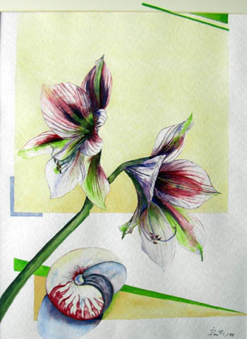 Papillon, 50 x 40, Aquarell