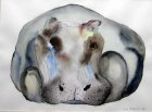 Nilpferd, 50 x 40, Aquarell und Tusche